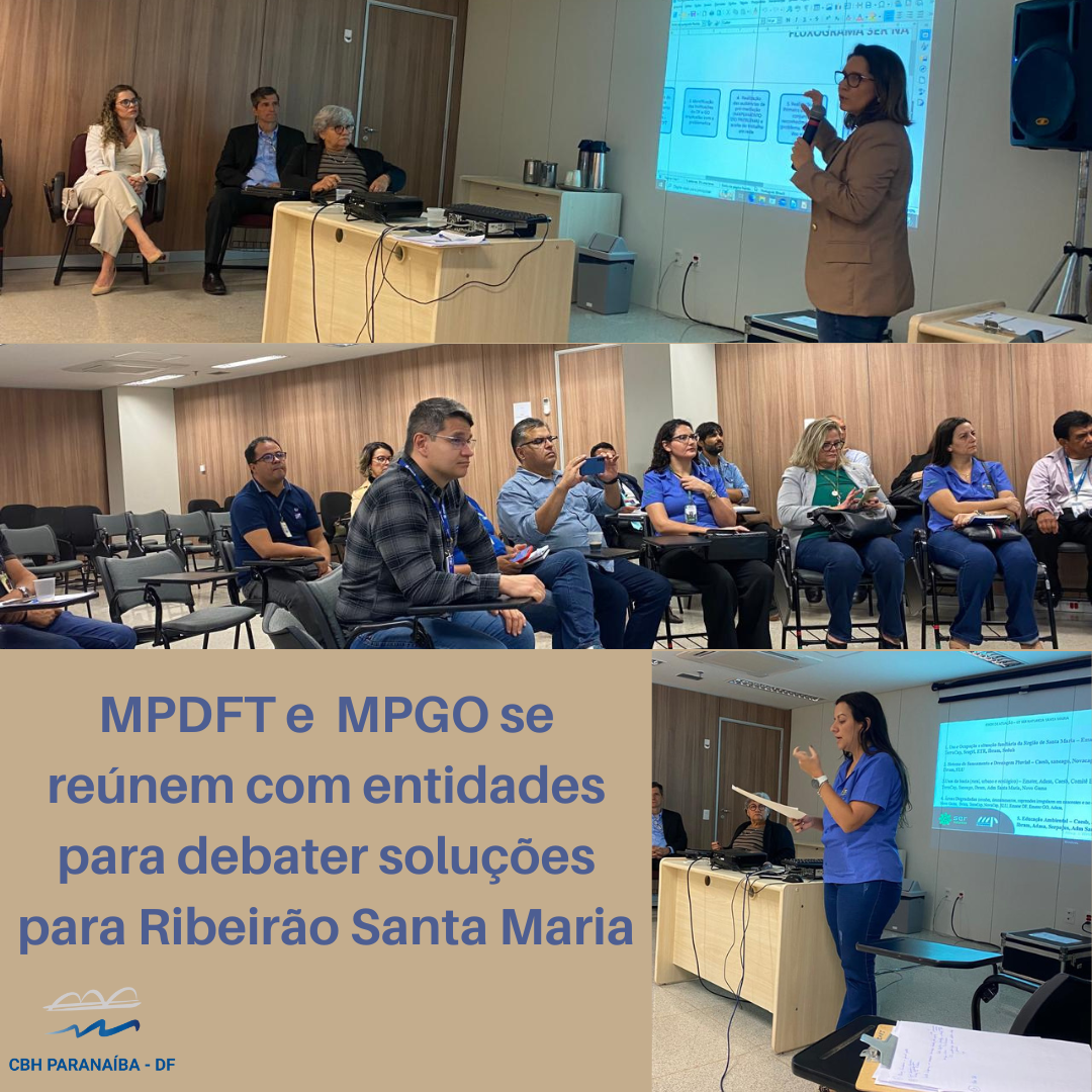MPDFT e MPGO com entidades