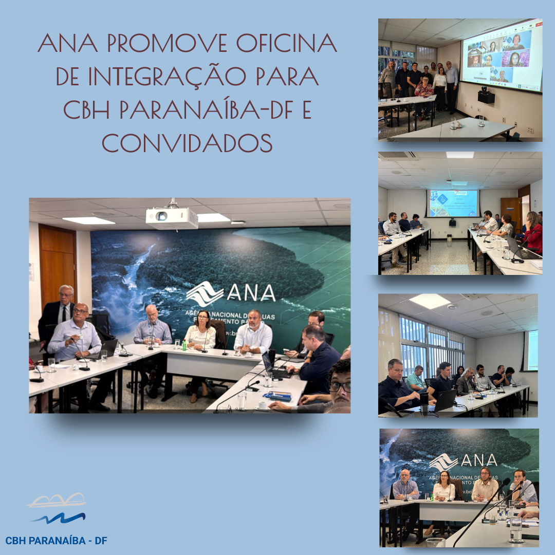 ANA promove oficina de integração