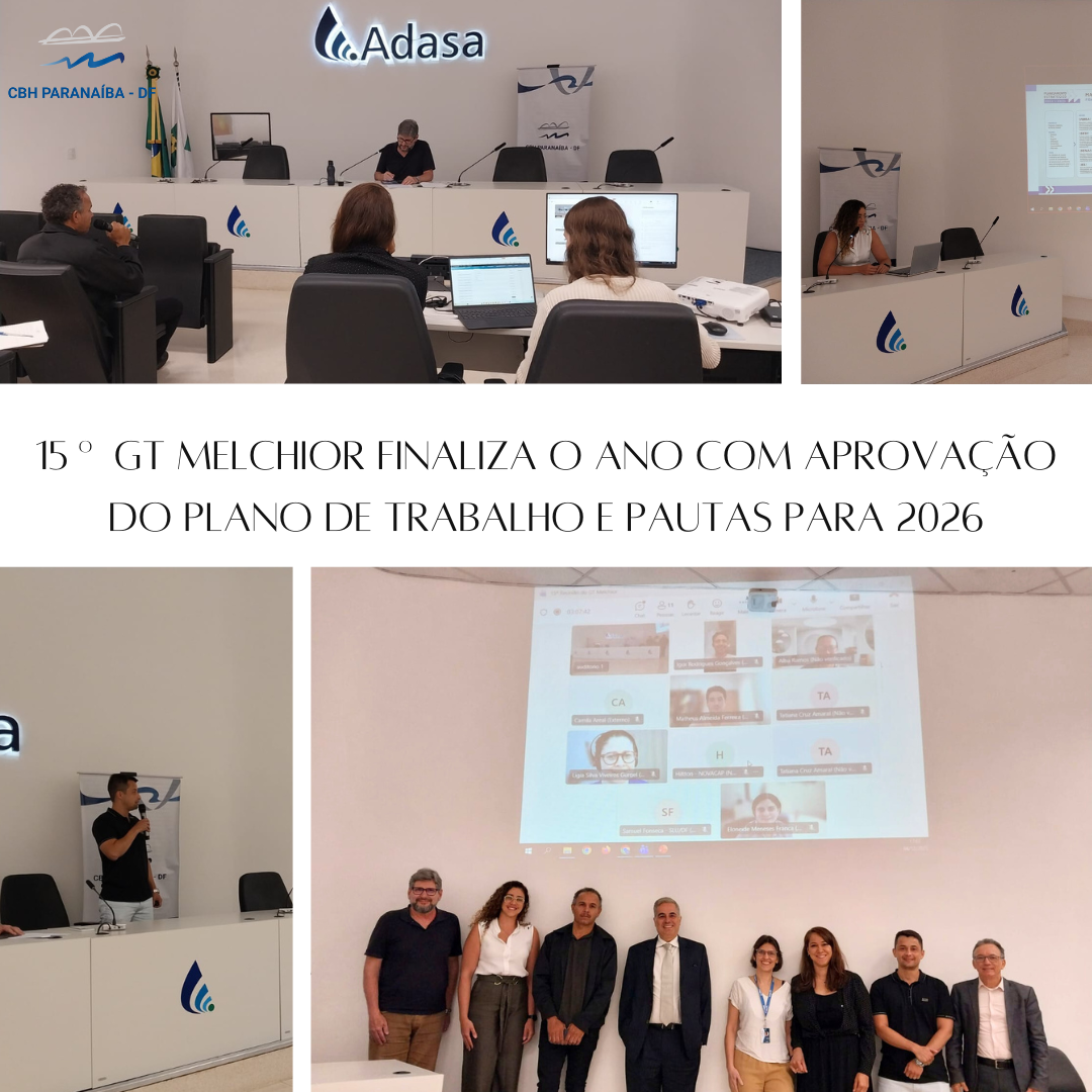 15ª Reunião do GT Melchior