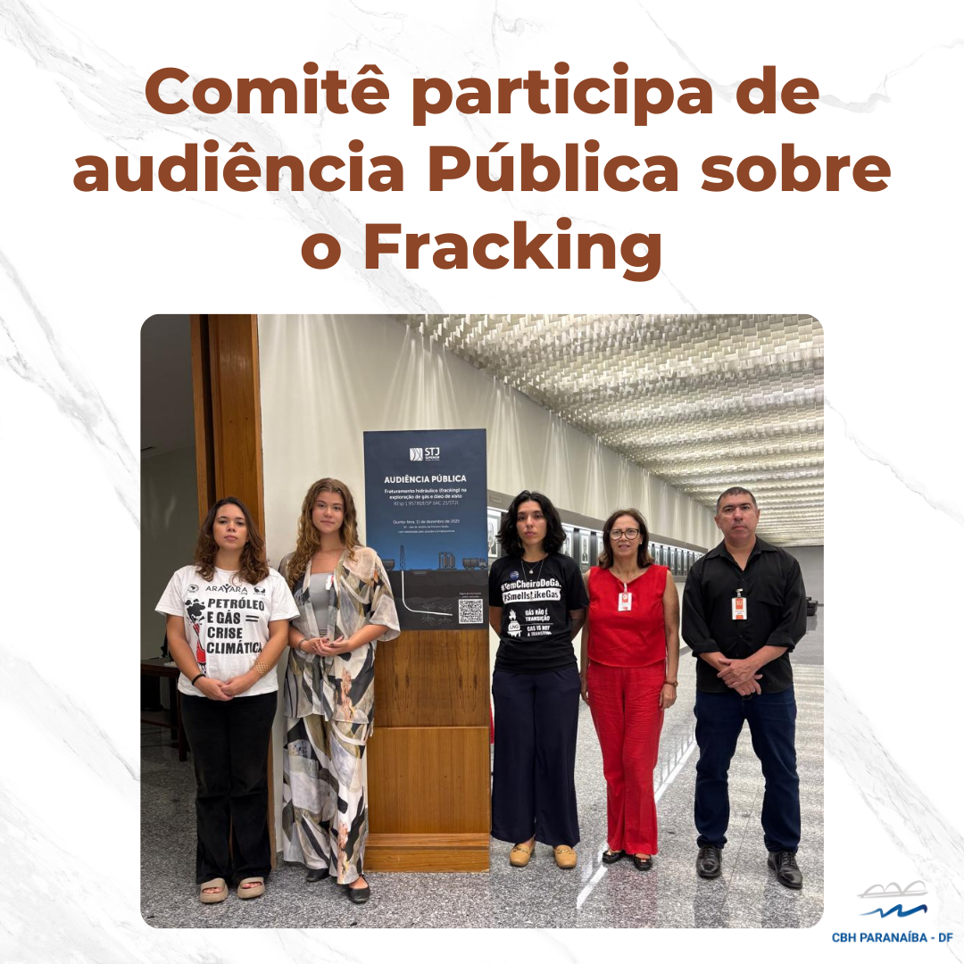 Comitê participa de audiência Pública sobre o Fracking